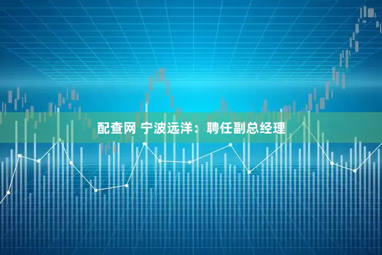 配查网 宁波远洋：聘任副总经理