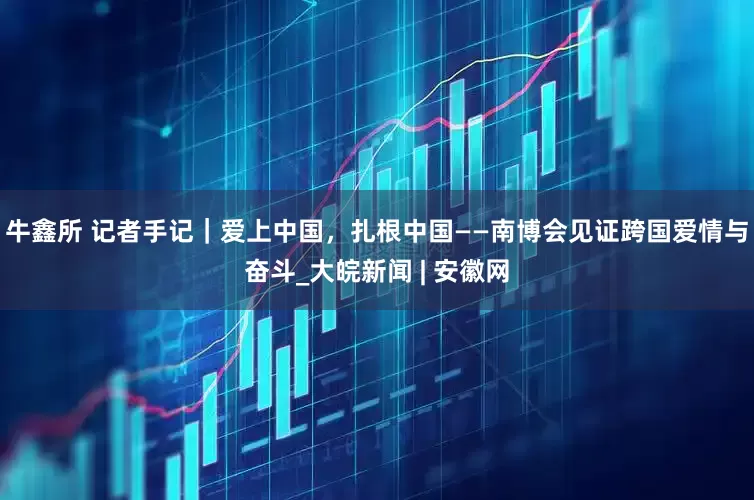 牛鑫所 记者手记｜爱上中国，扎根中国——南博会见证跨国爱情与奋斗_大皖新闻 | 安徽网
