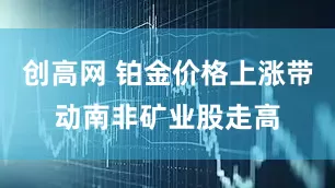 创高网 铂金价格上涨带动南非矿业股走高