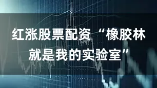 红涨股票配资 “橡胶林就是我的实验室”