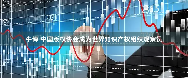 牛博 中国版权协会成为世界知识产权组织观察员
