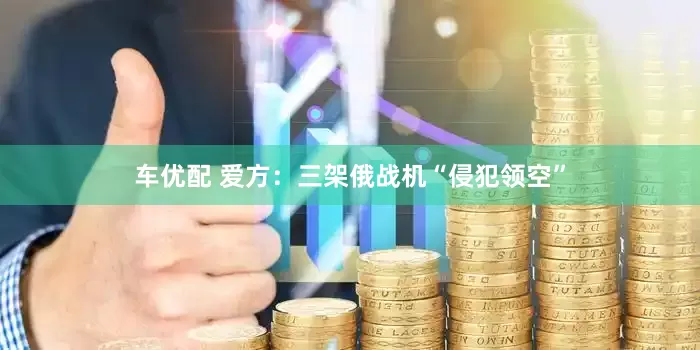 车优配 爱方：三架俄战机“侵犯领空”