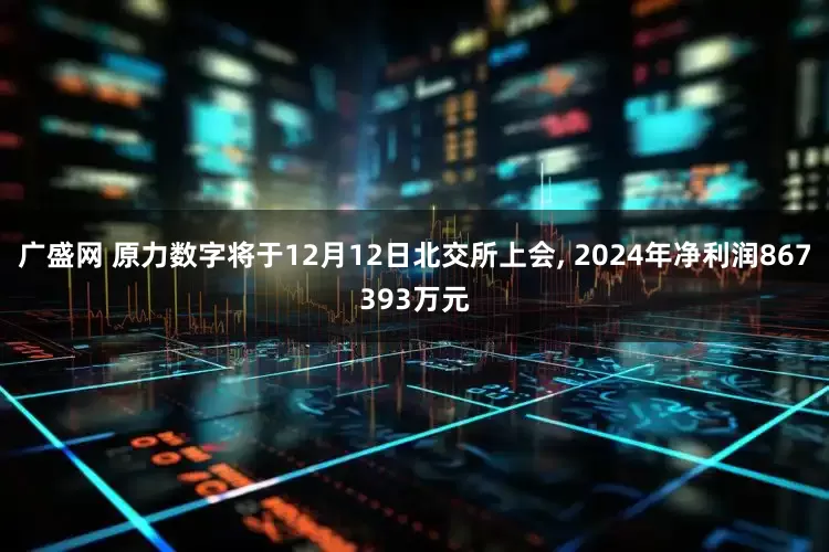 广盛网 原力数字将于12月12日北交所上会, 2024年净利润867393万元