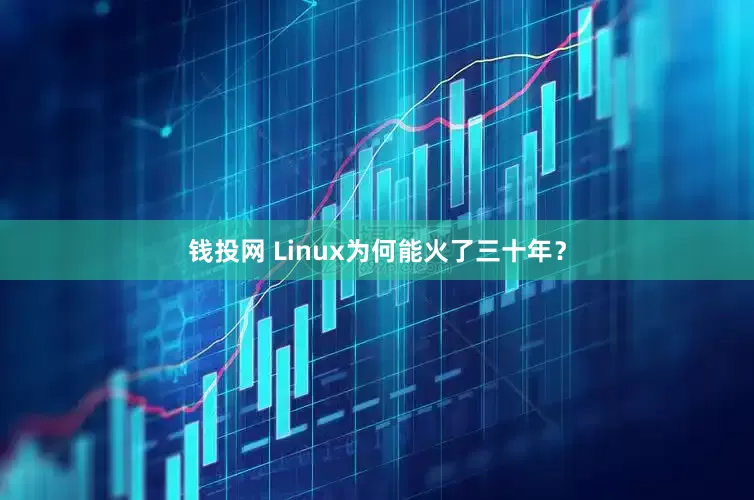钱投网 Linux为何能火了三十年？