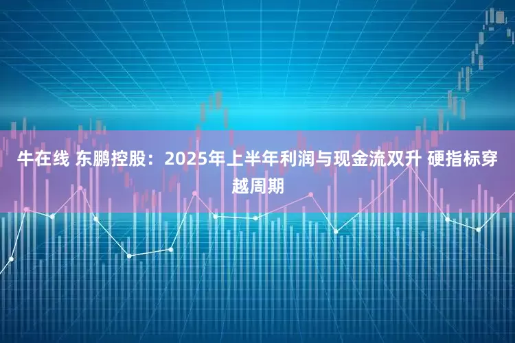 牛在线 东鹏控股：2025年上半年利润与现金流双升 硬指标穿越周期