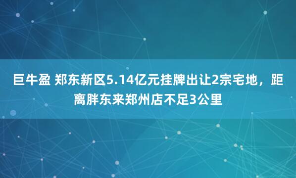 巨牛盈 郑东新区5.14亿元挂牌出让2宗宅地，距离胖东来郑州店不足3公里